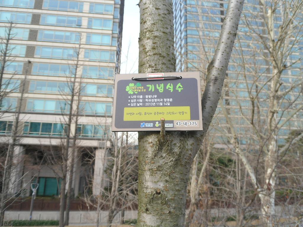 43-내-175