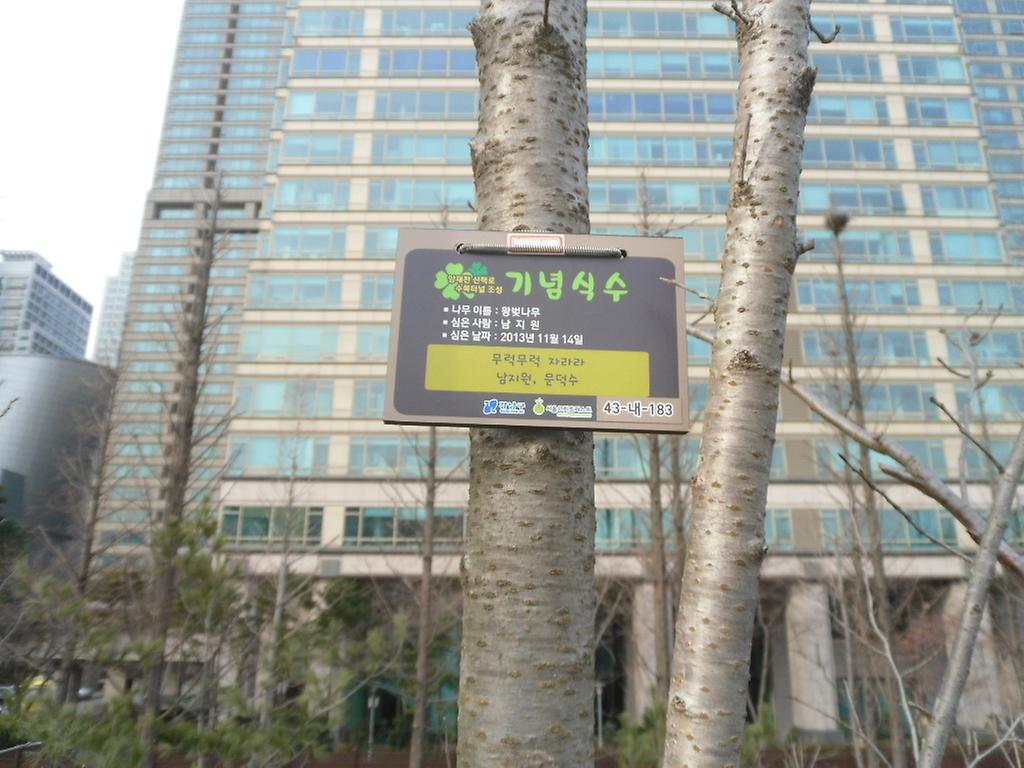 43-내-183