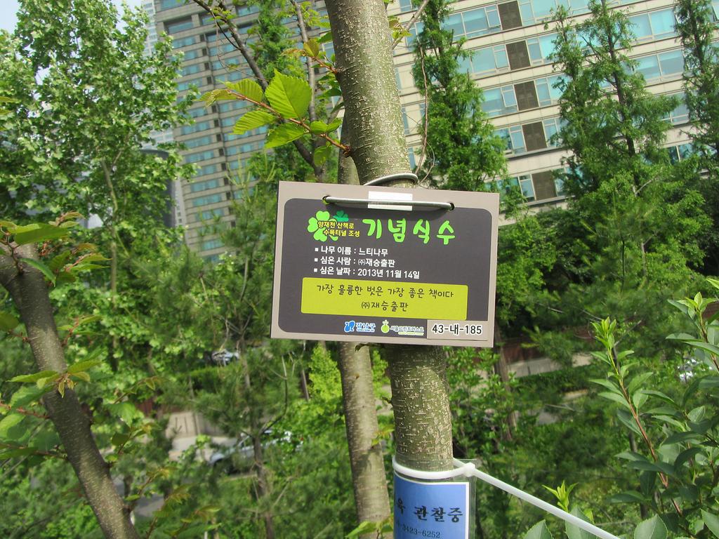 43-내-185