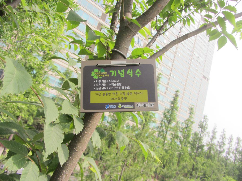 43-내-187