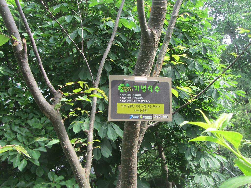 43-내-193
