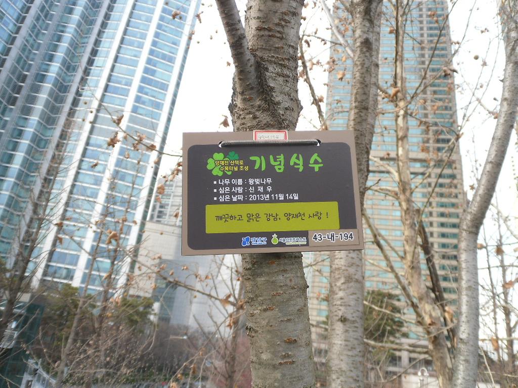 43-내-194