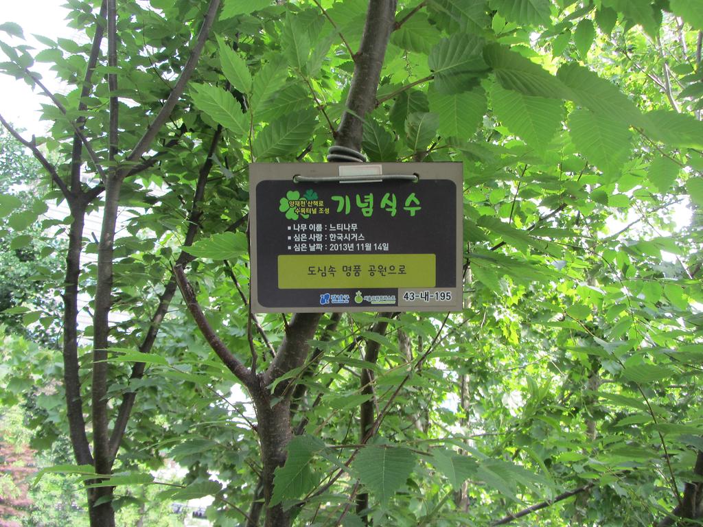 43-내-195