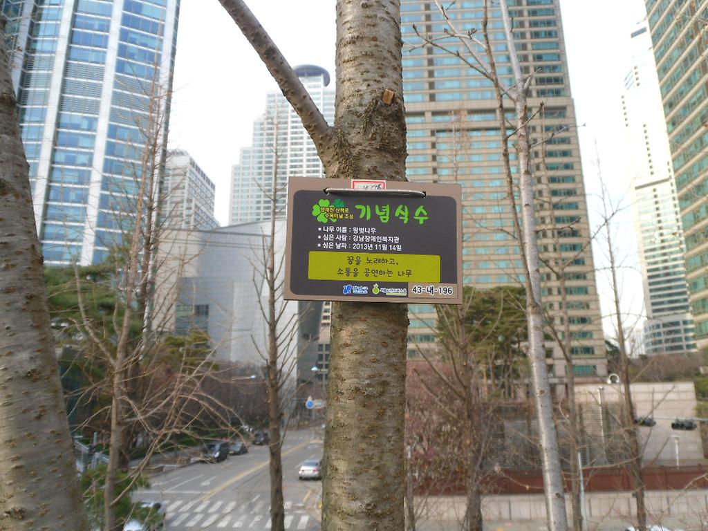 43-내-196