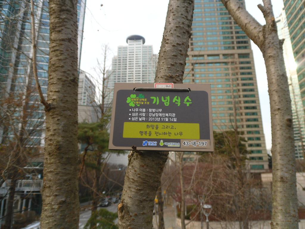 43-내-197