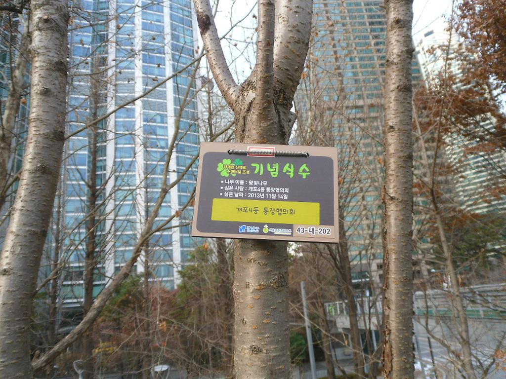 43-내-202