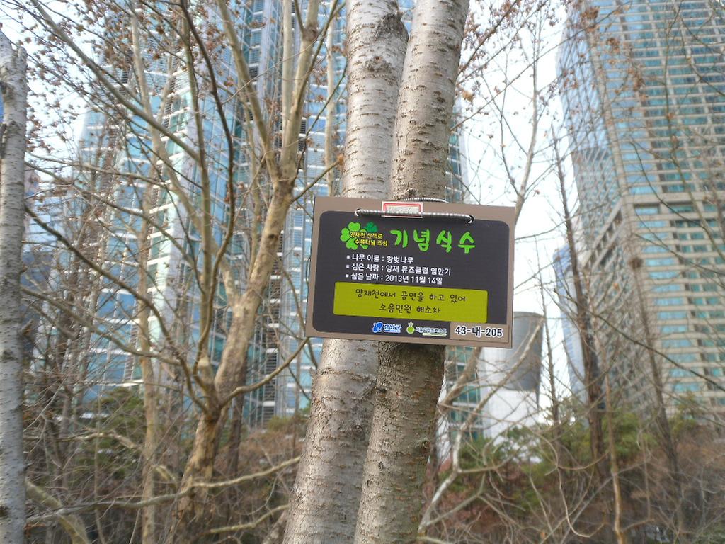 43-내-205