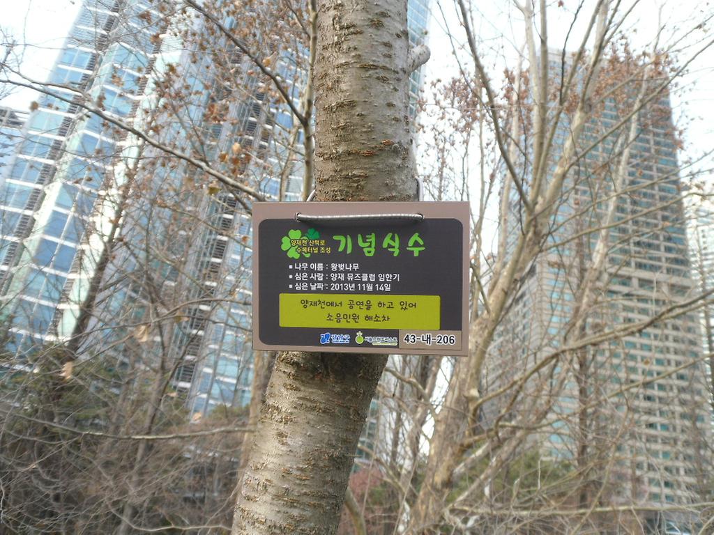 43-내-206