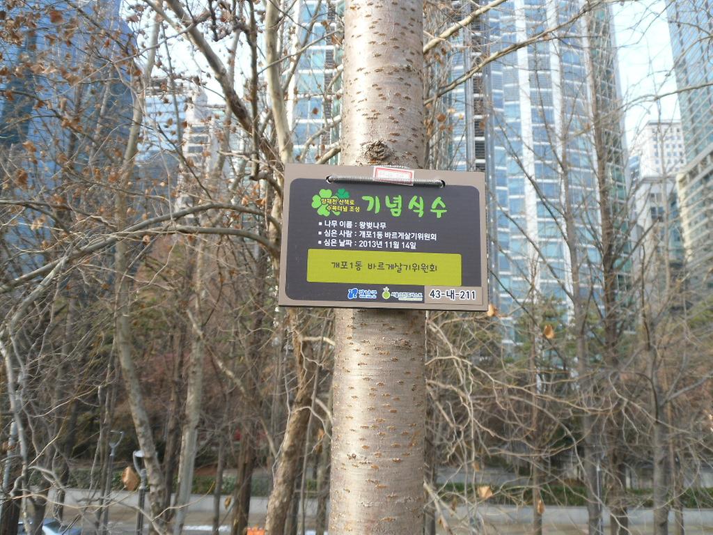 43-내-211