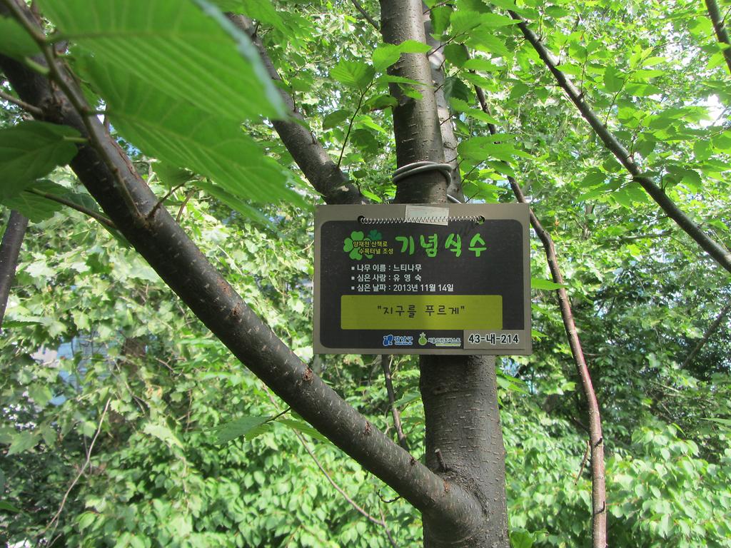 43-내-214