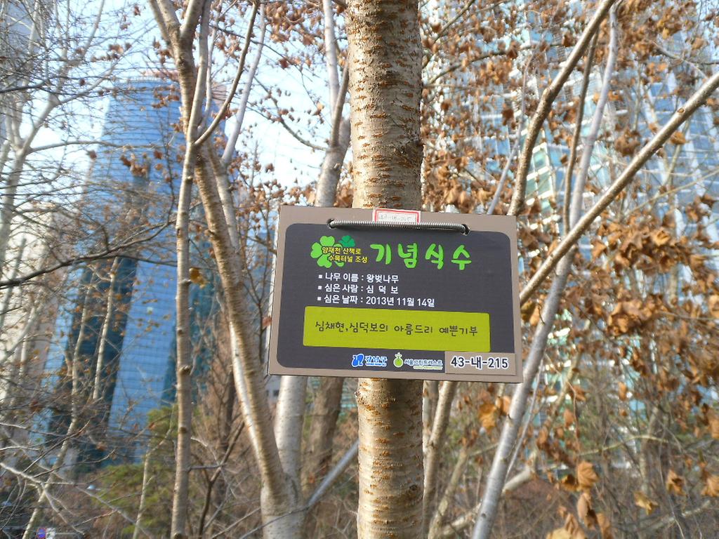 43-내-215
