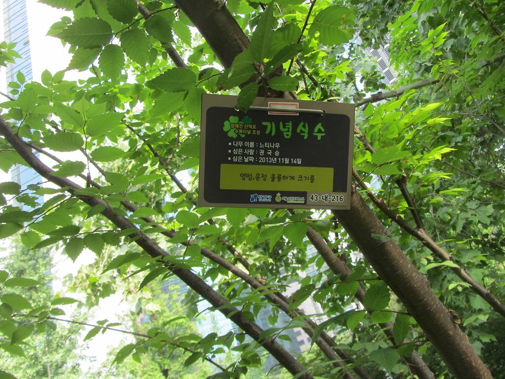 43-내-216