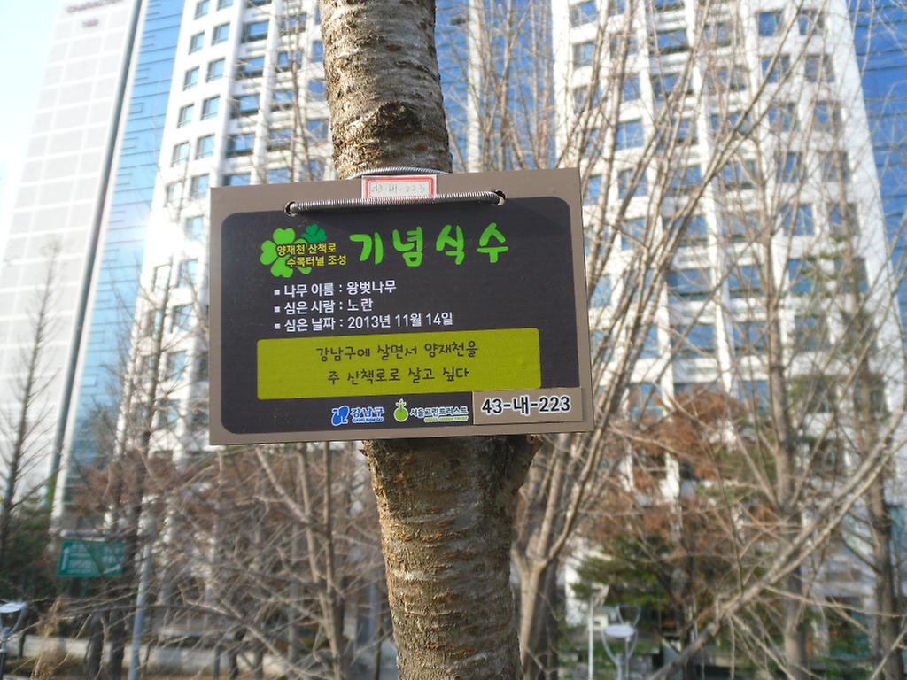 43-내-223