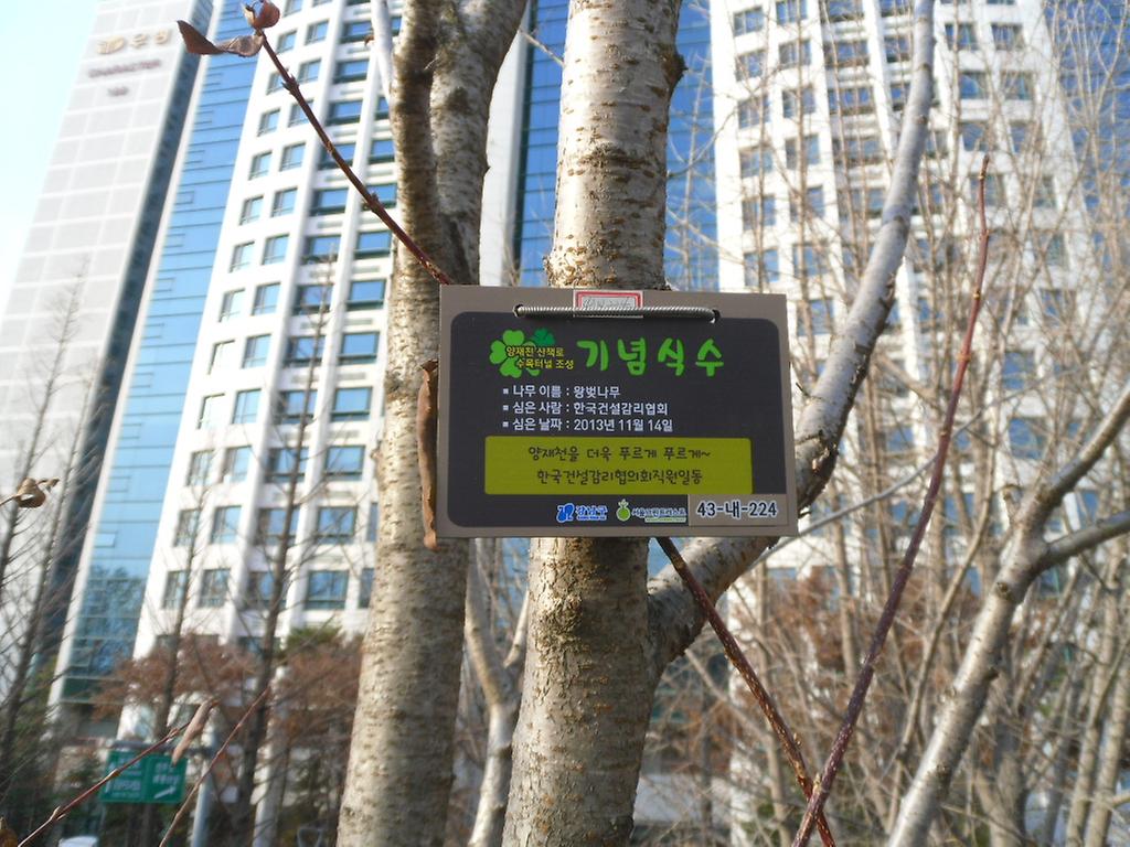 43-내-224