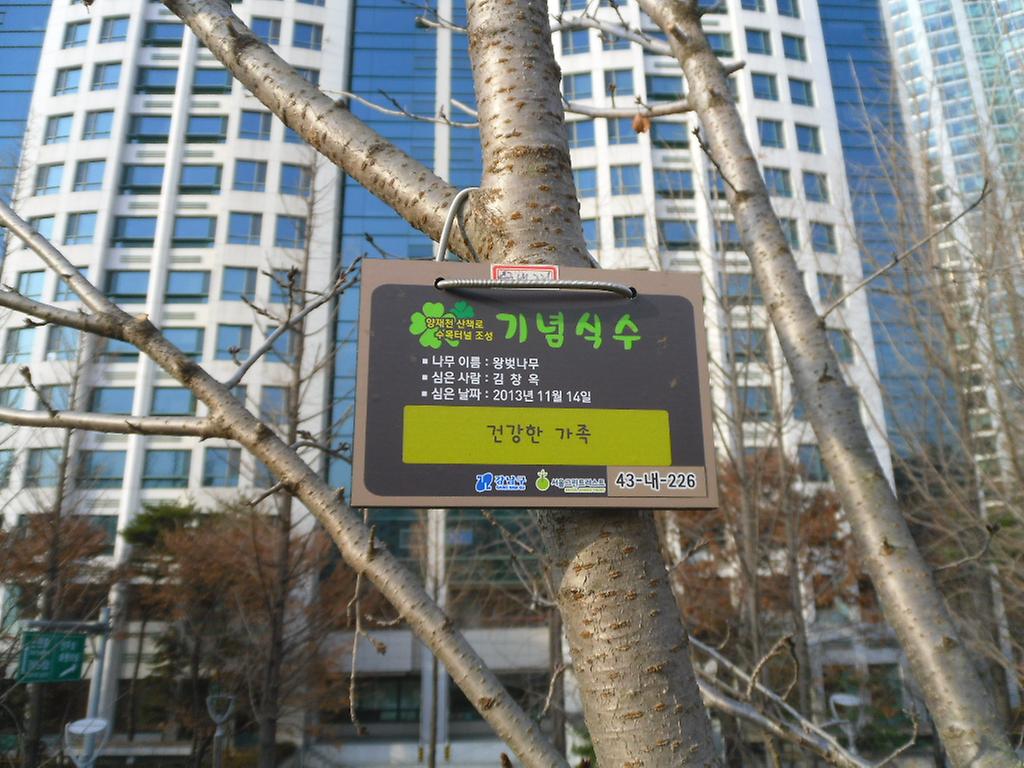 43-내-226