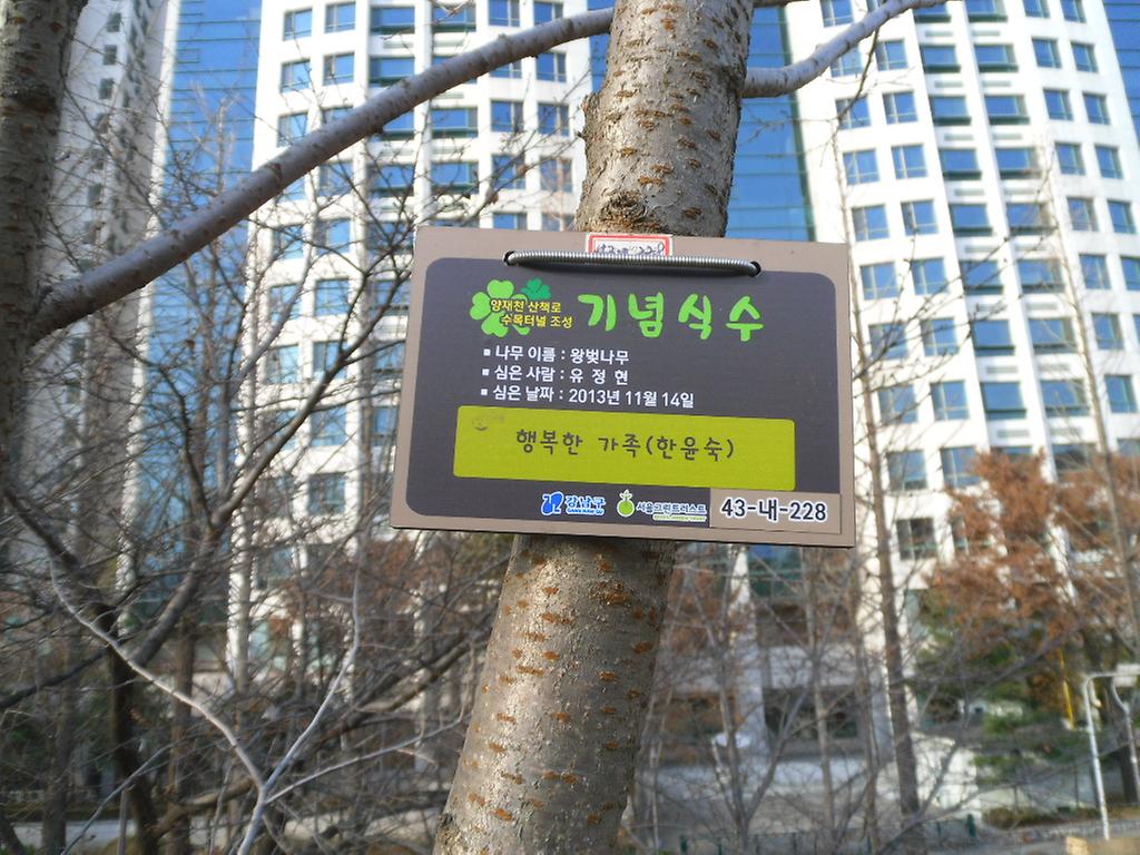 43-내-228
