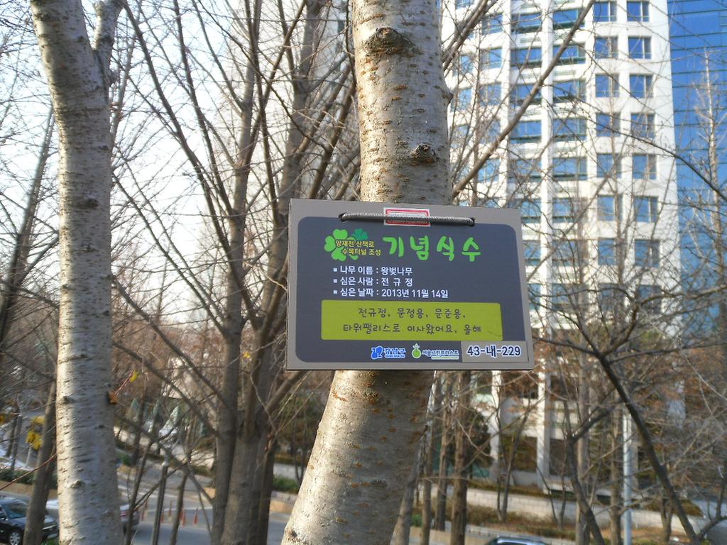 43-내-229