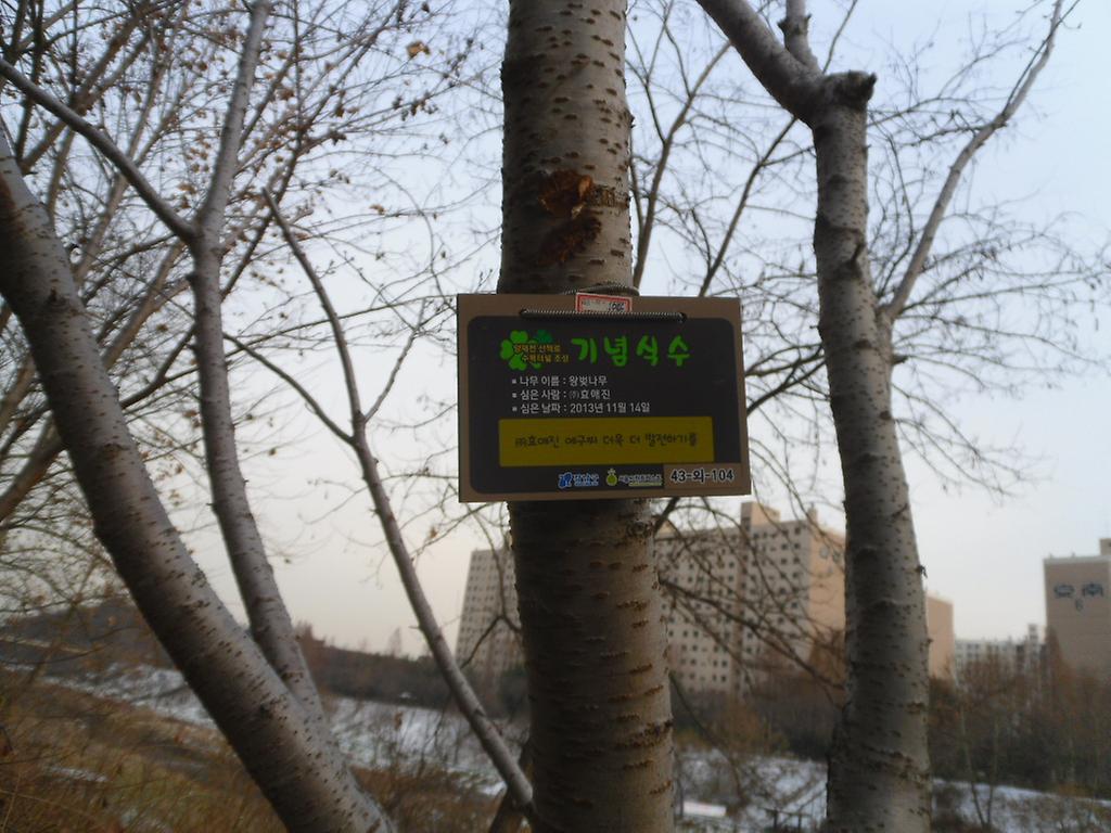 43-외-104