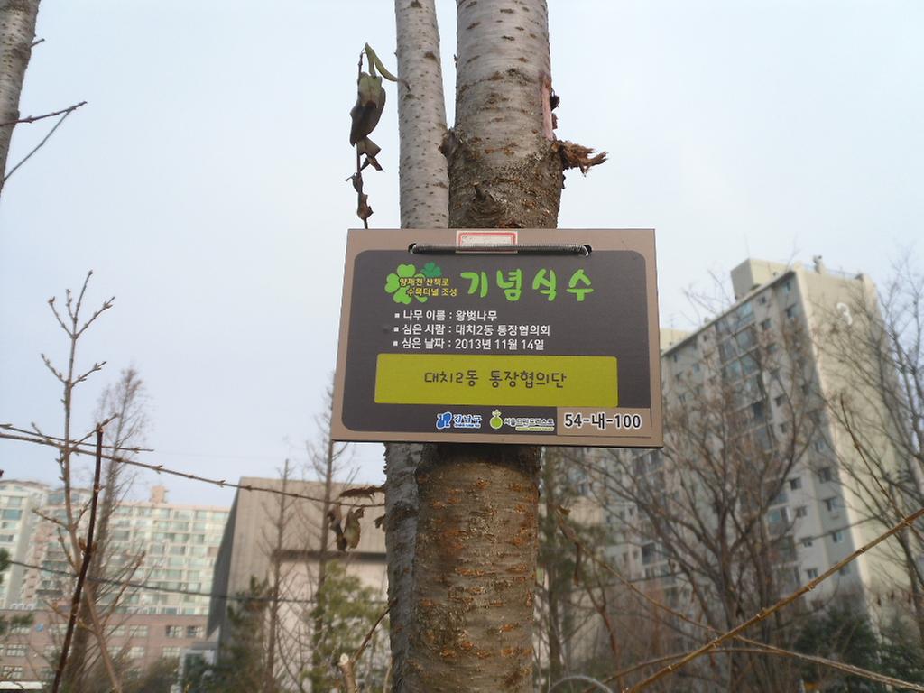54-내-100