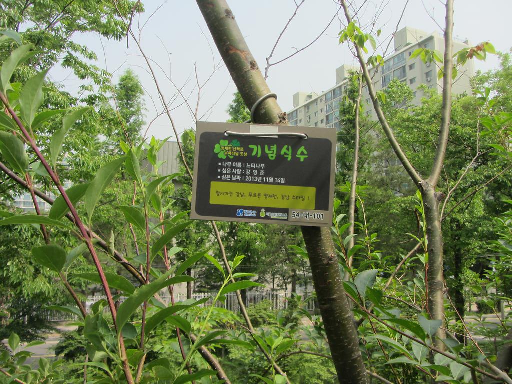 54-내-101