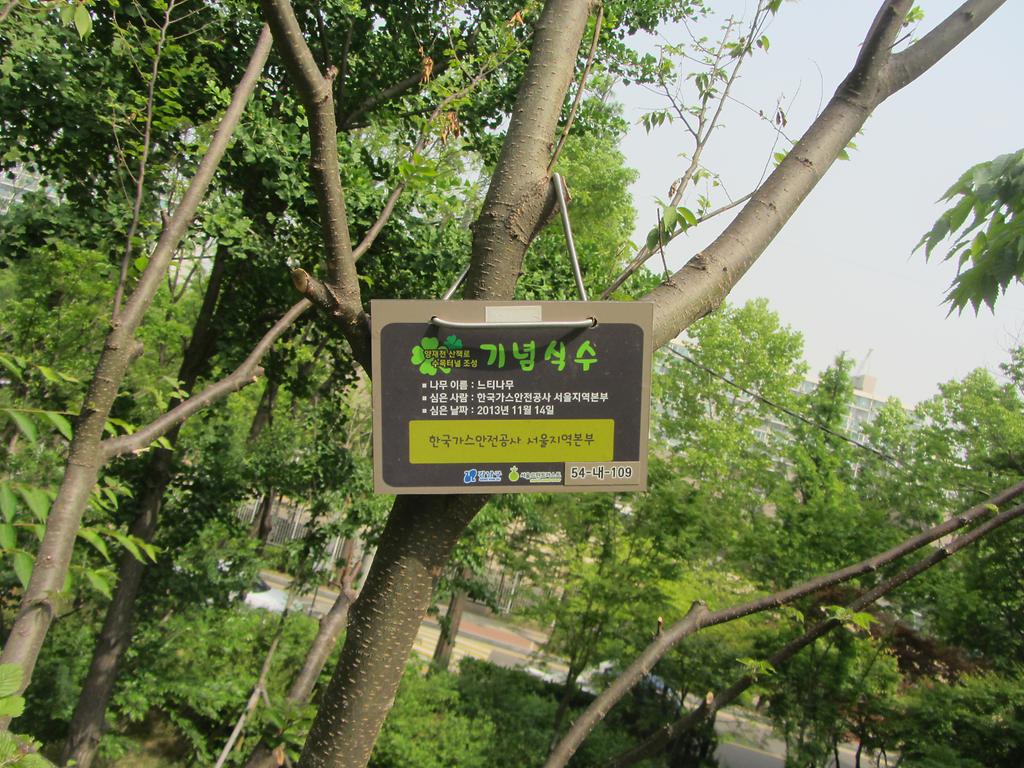 54-내-109