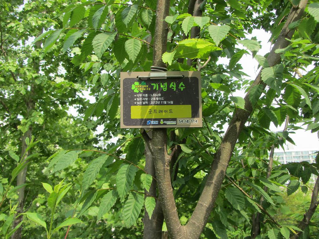 54-내-114
