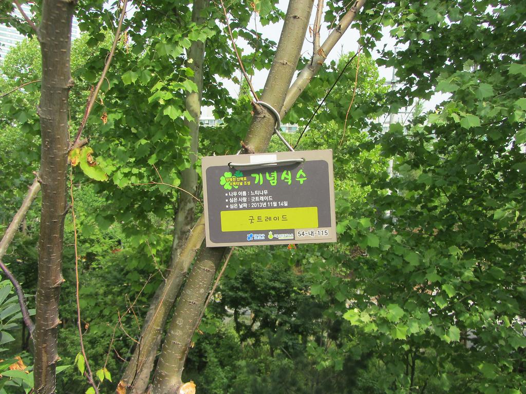 54-내-115