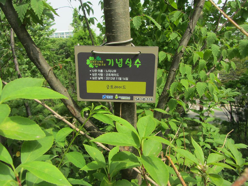54-내-116