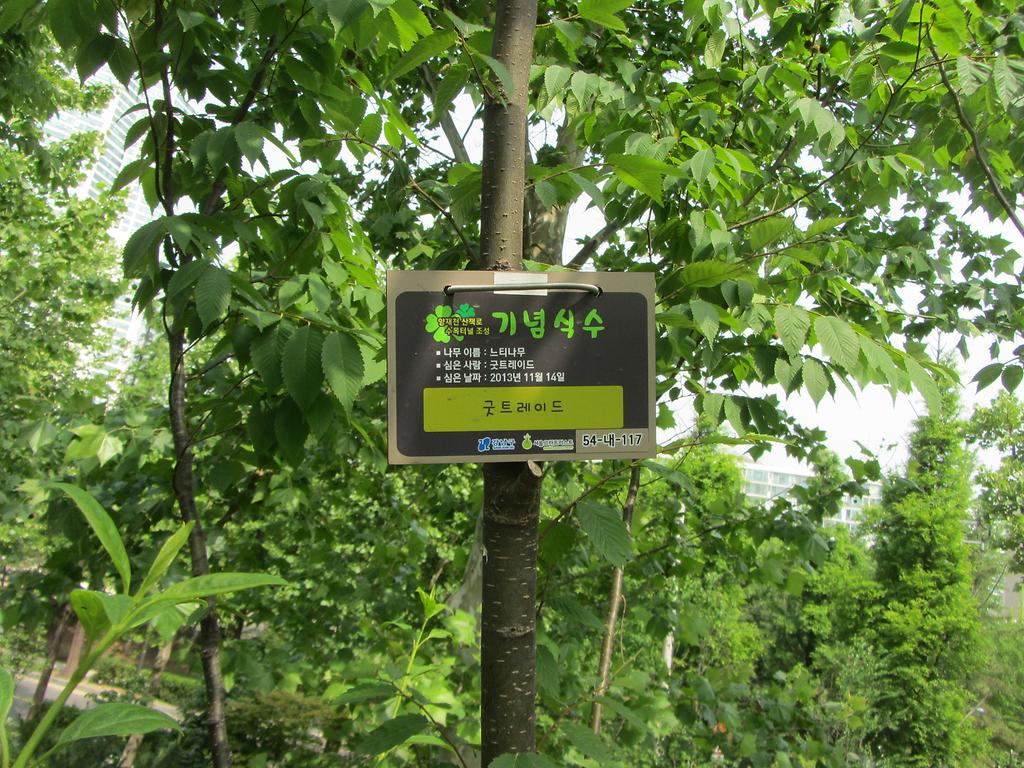 54-내-117