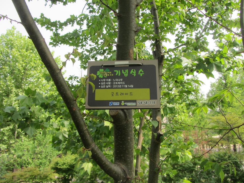 54-내-118