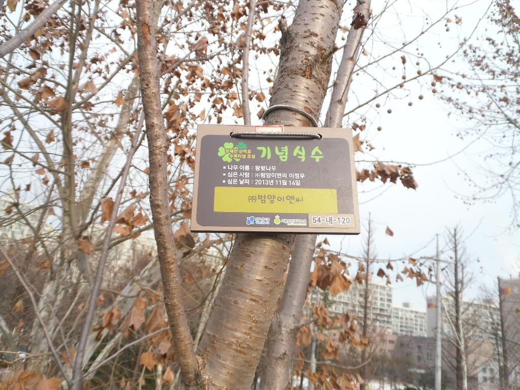 54-내-120