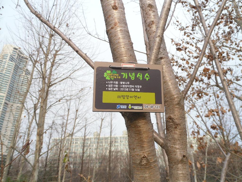 54-내-121