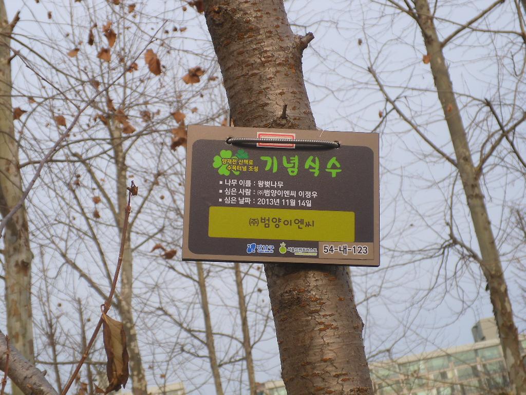 54-내-123
