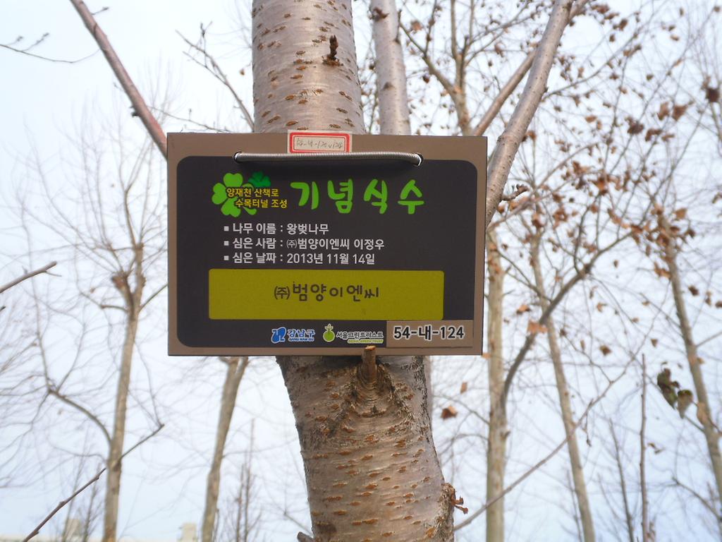 54-내-124