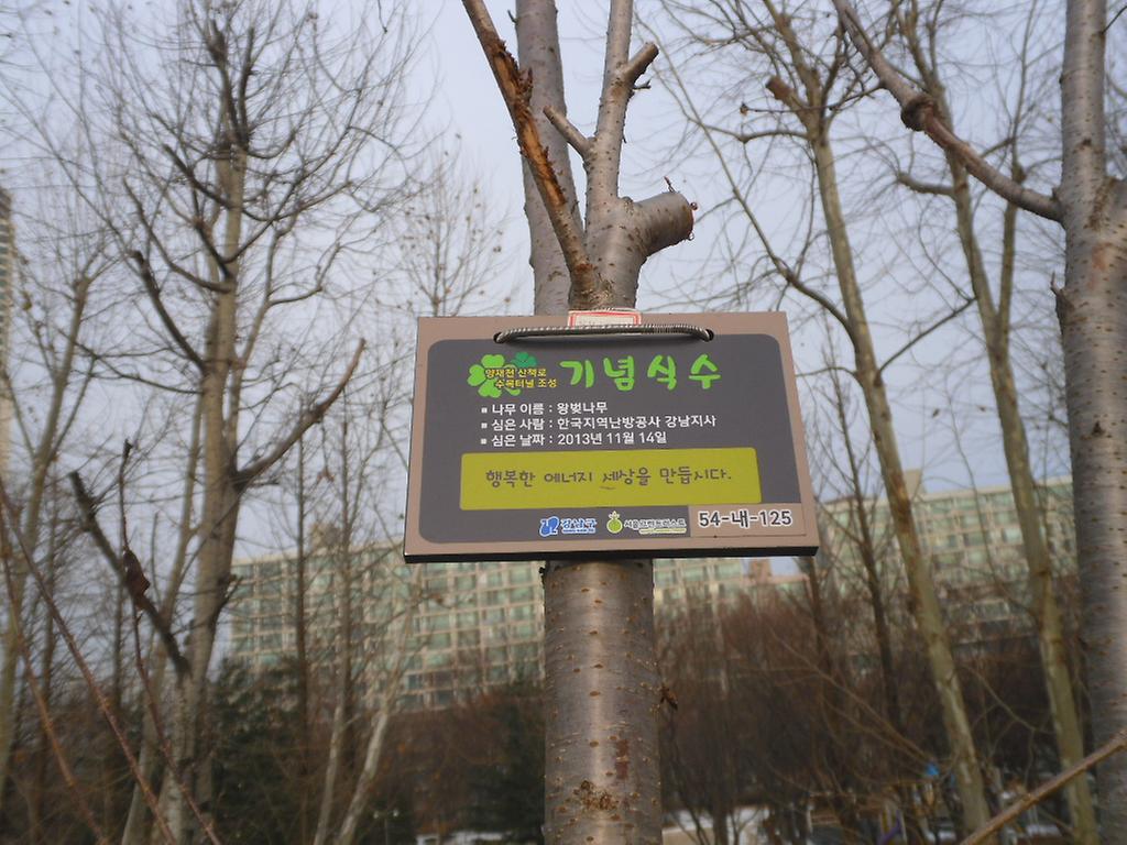 54-내-125