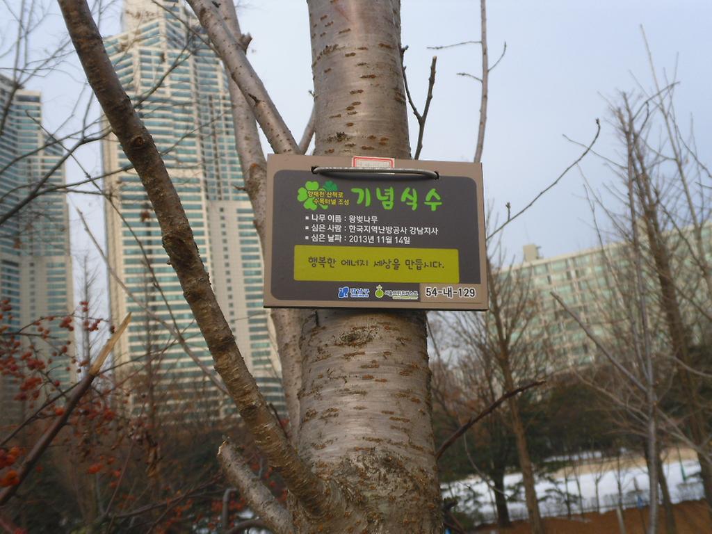 54-내-129