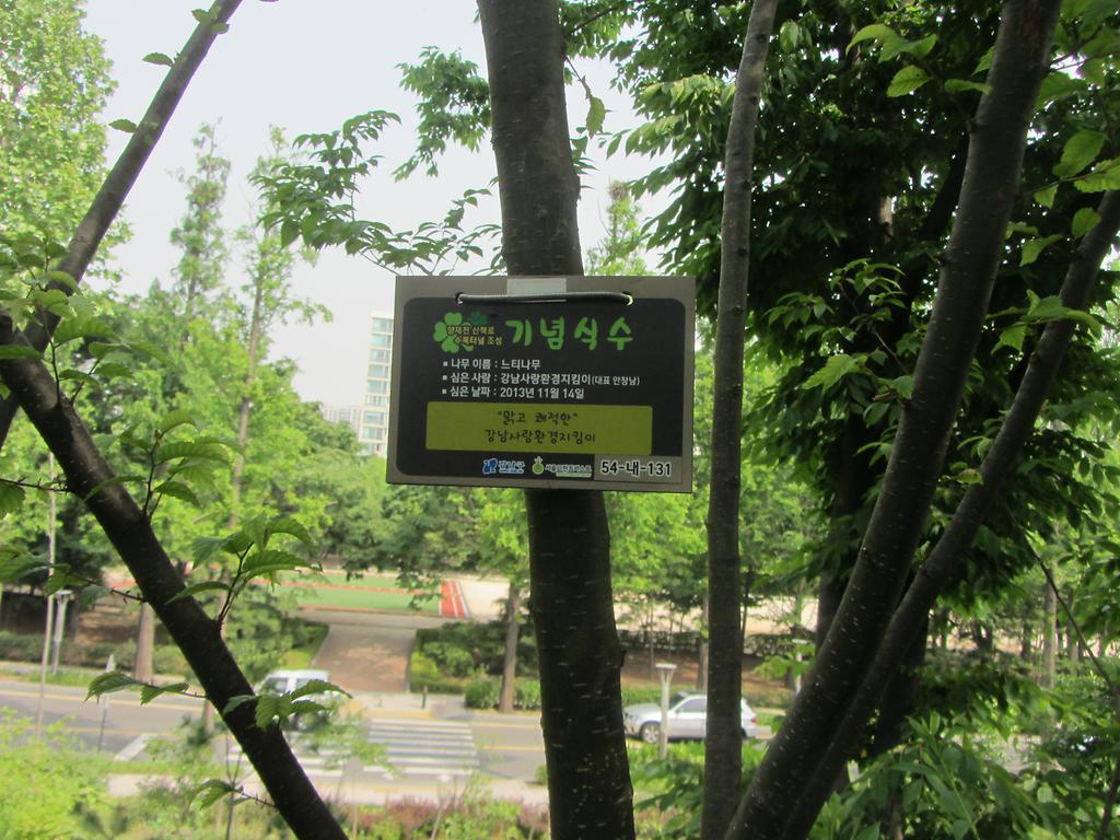 54-내-131