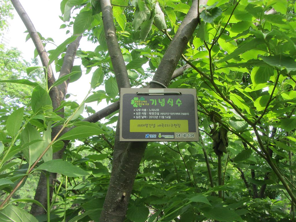 54-내-134