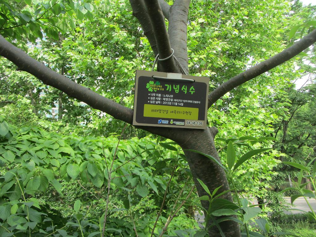 54-내-136