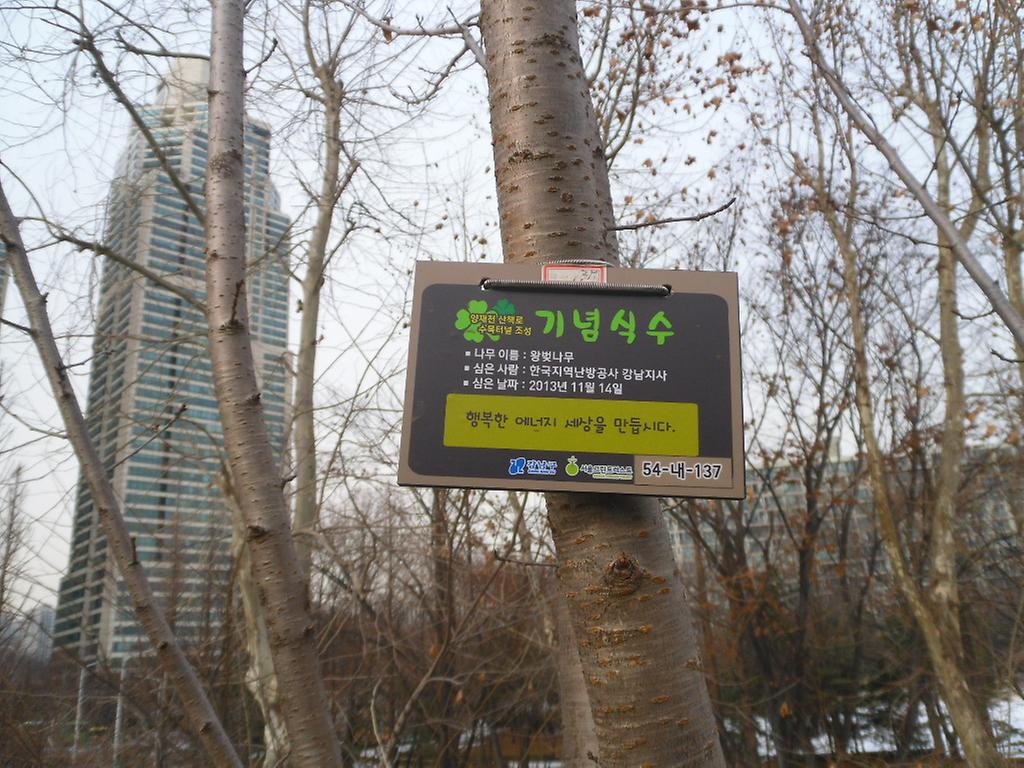 54-내-137