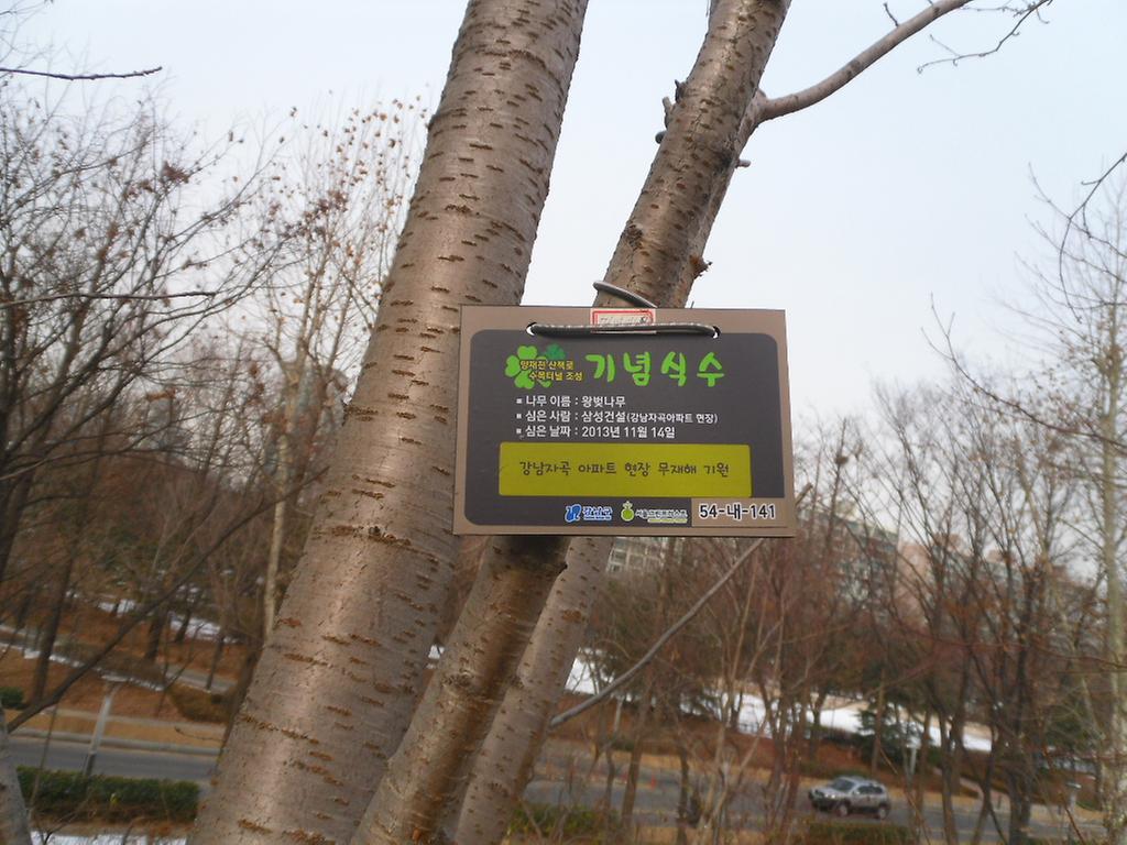 54-내-141
