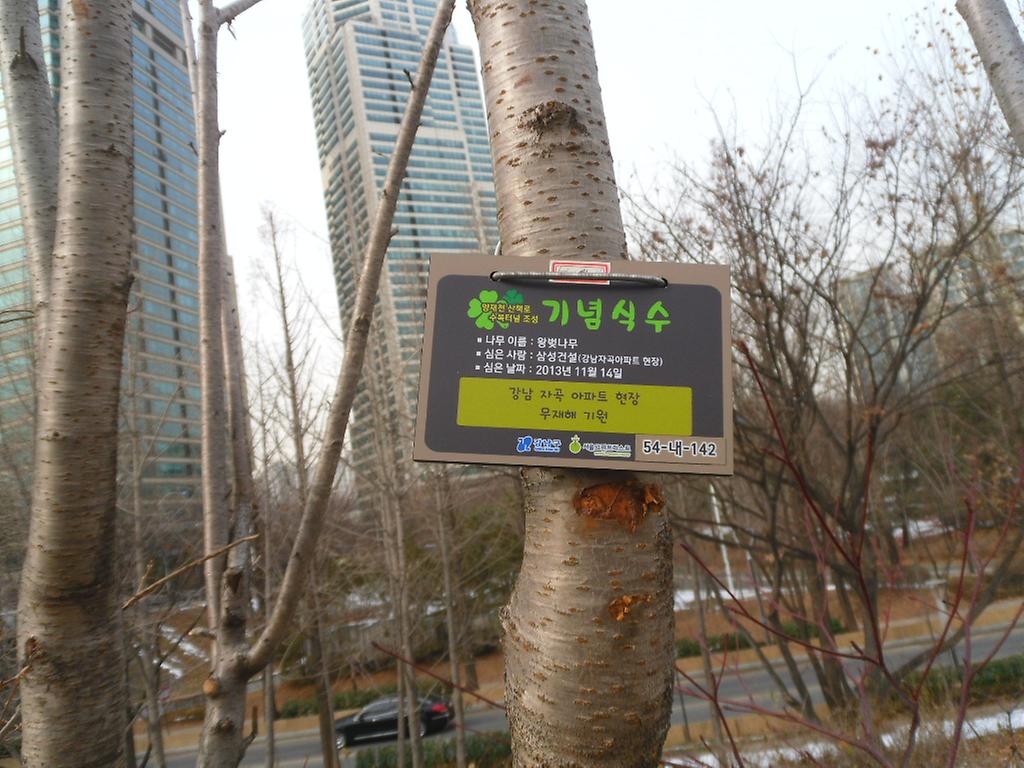 54-내-142