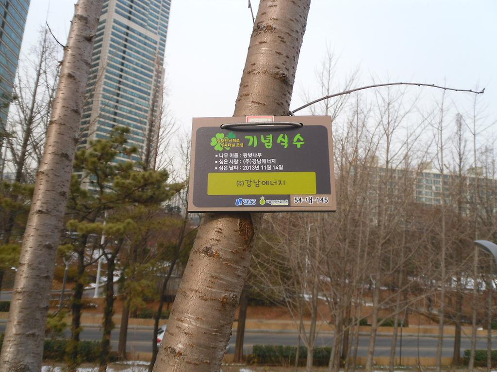 54-내-145