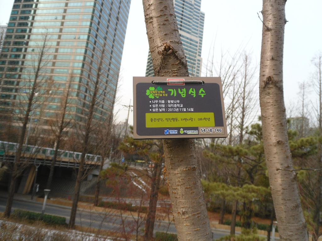 54-내-146