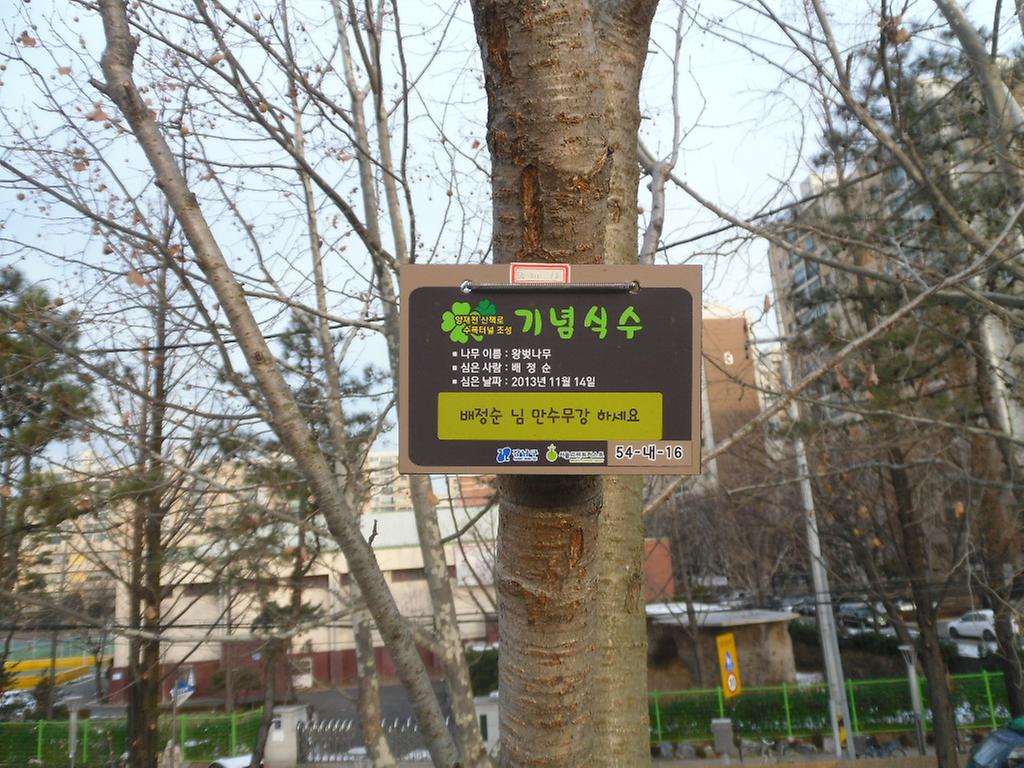 54-내-16