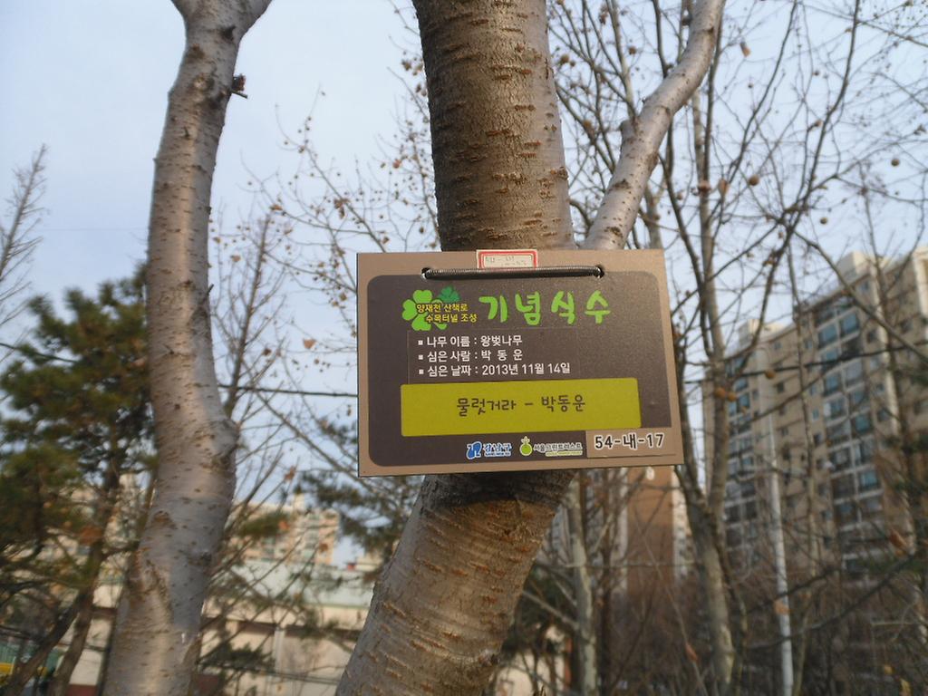 54-내-17