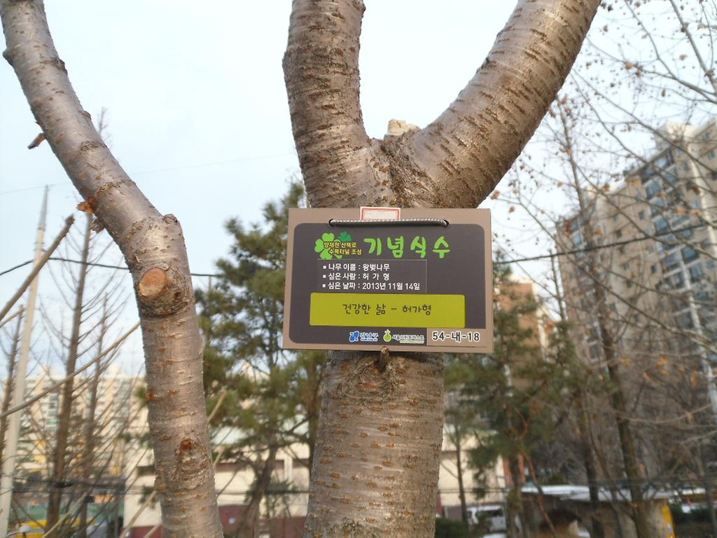 54-내-18
