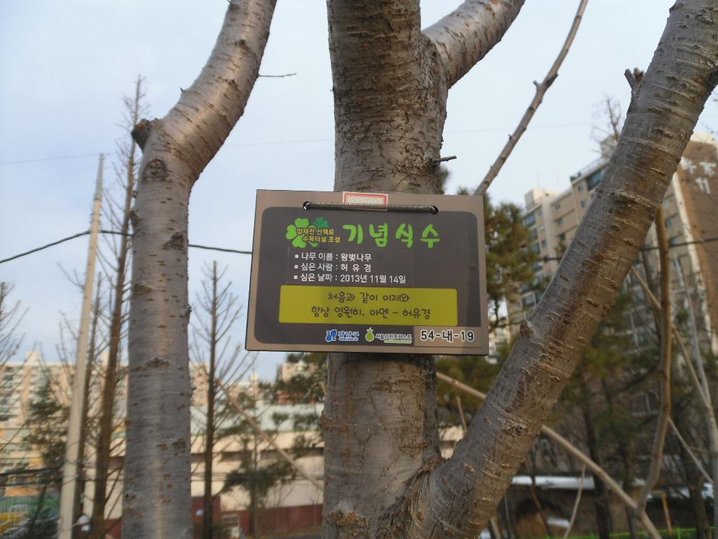 54-내-19