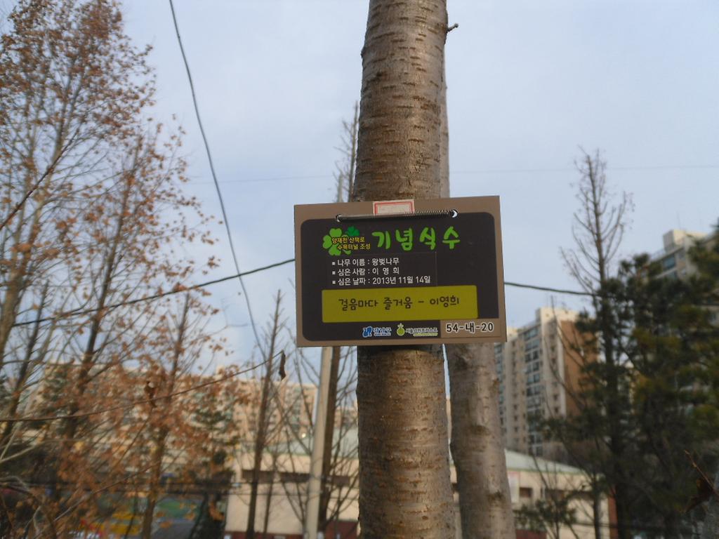 54-내-20