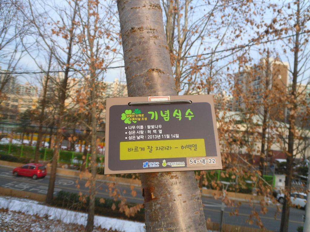 54-내-22